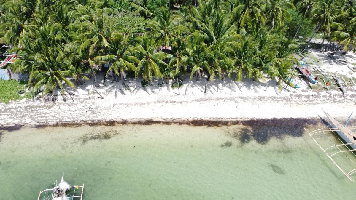 White Sand beaches for Sale in the Philippines