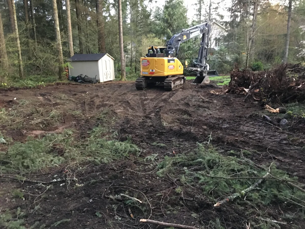 Excavation 101: When Do You Need a Professional Contractor?