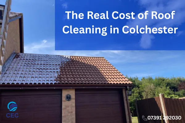 Roof cleaning in Essex