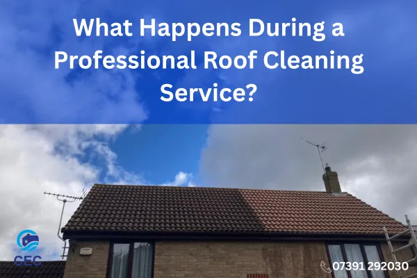 What Happens During a Professional Roof Cleaning Service?