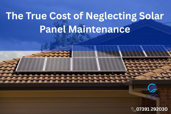 The True Cost of Neglecting Solar Panel Maintenance