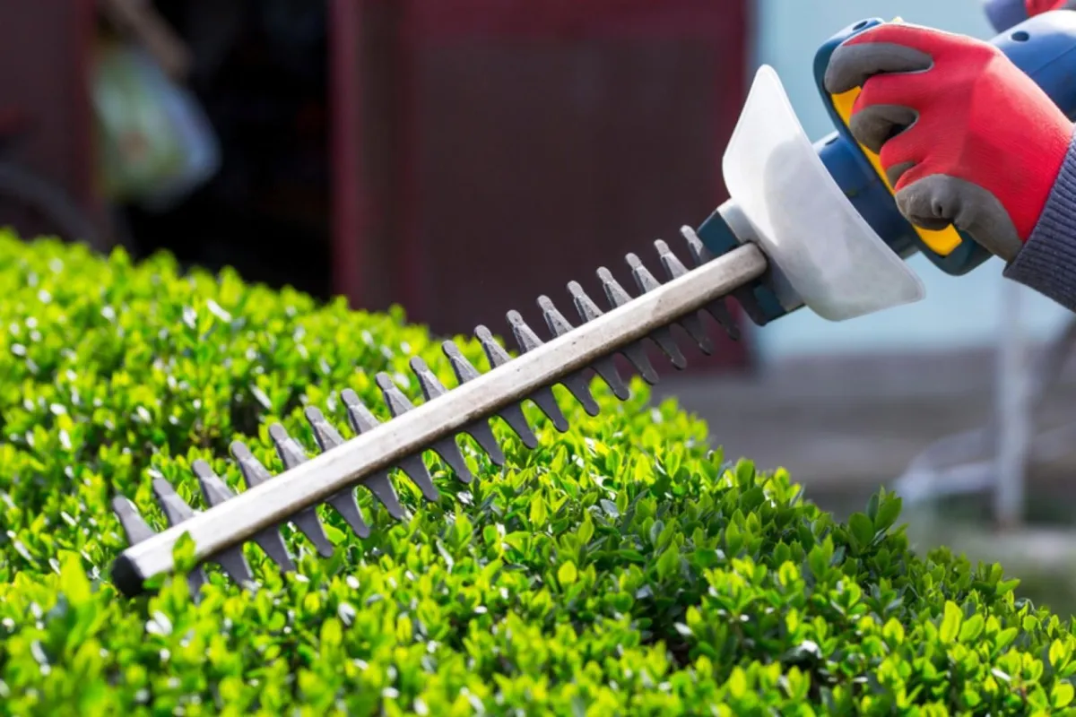 lawn mowing and gardening services near Oxley QLD