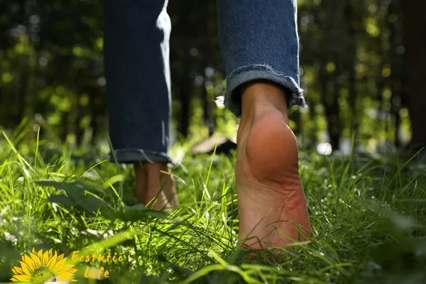 Coming Home to the Ground
