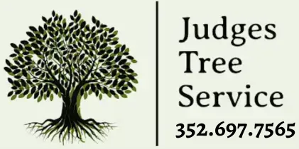 judge-trees-service-logo