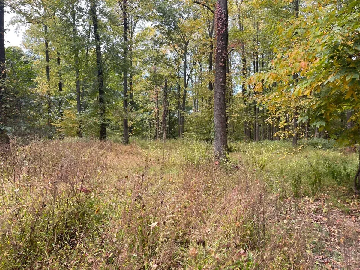 187-acre sportsmans paradise Carlisle County Kentucky