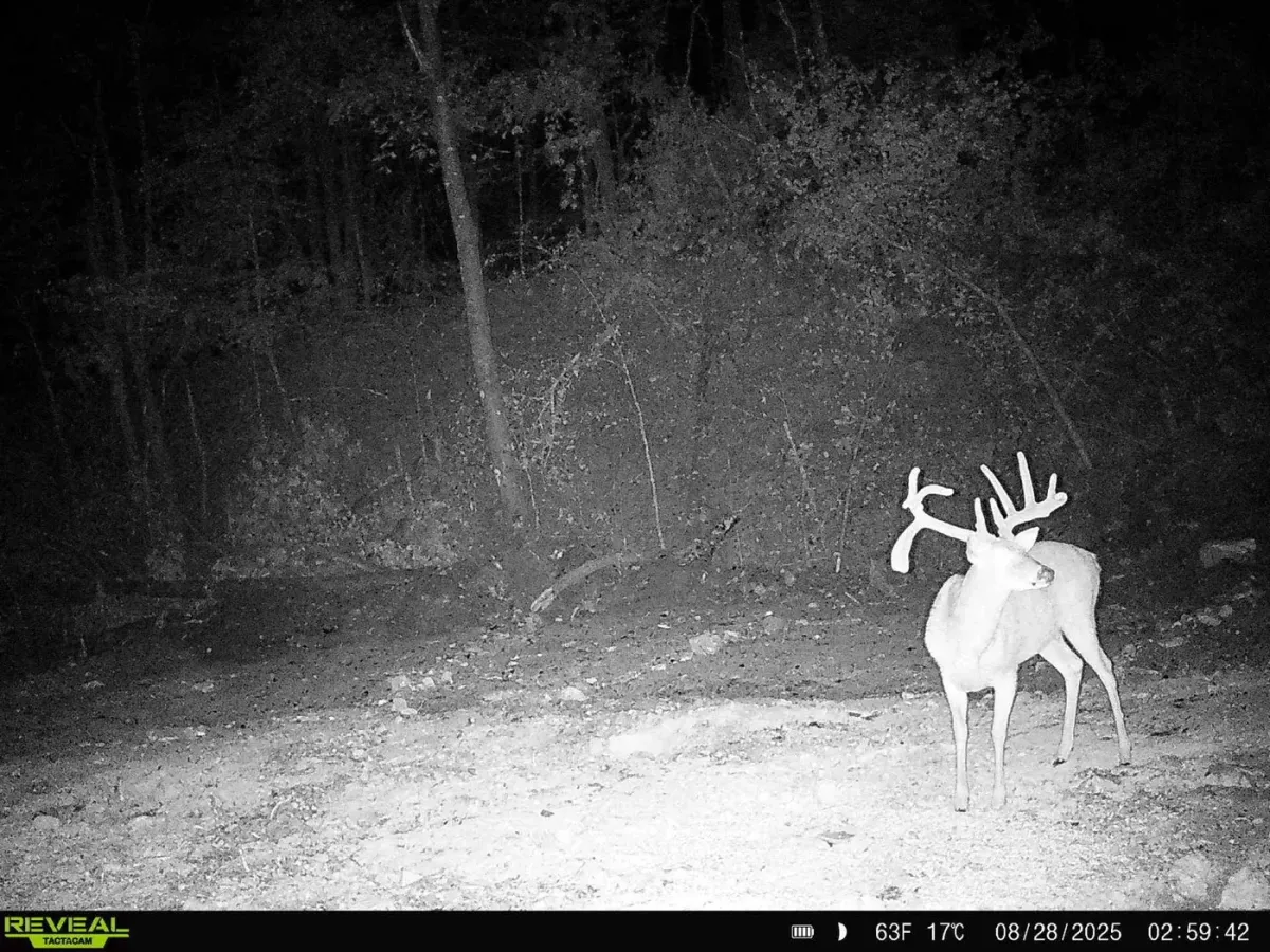 107-acre trophy whitetail hunting land Hopkins County Kentucky
