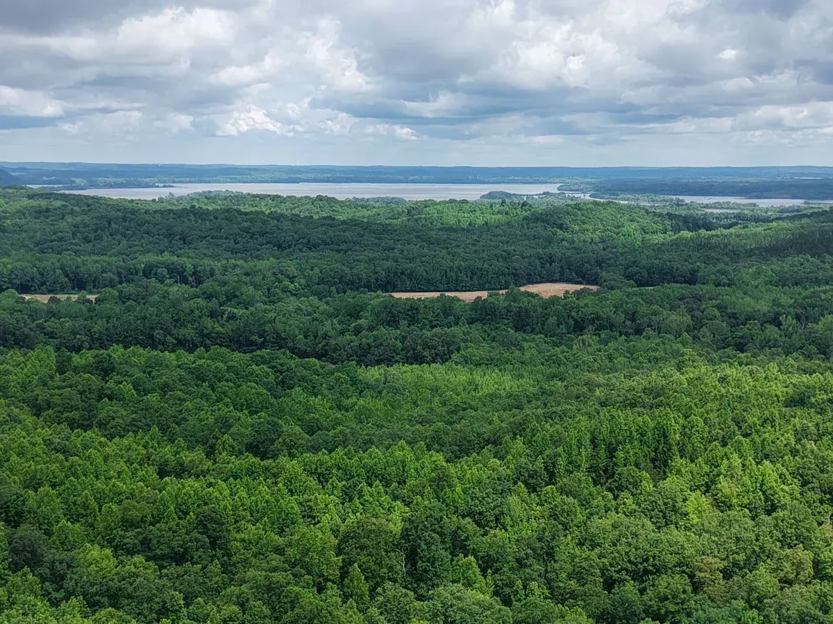 225-acre Tennessee hunting tract borders wildlife refuge
