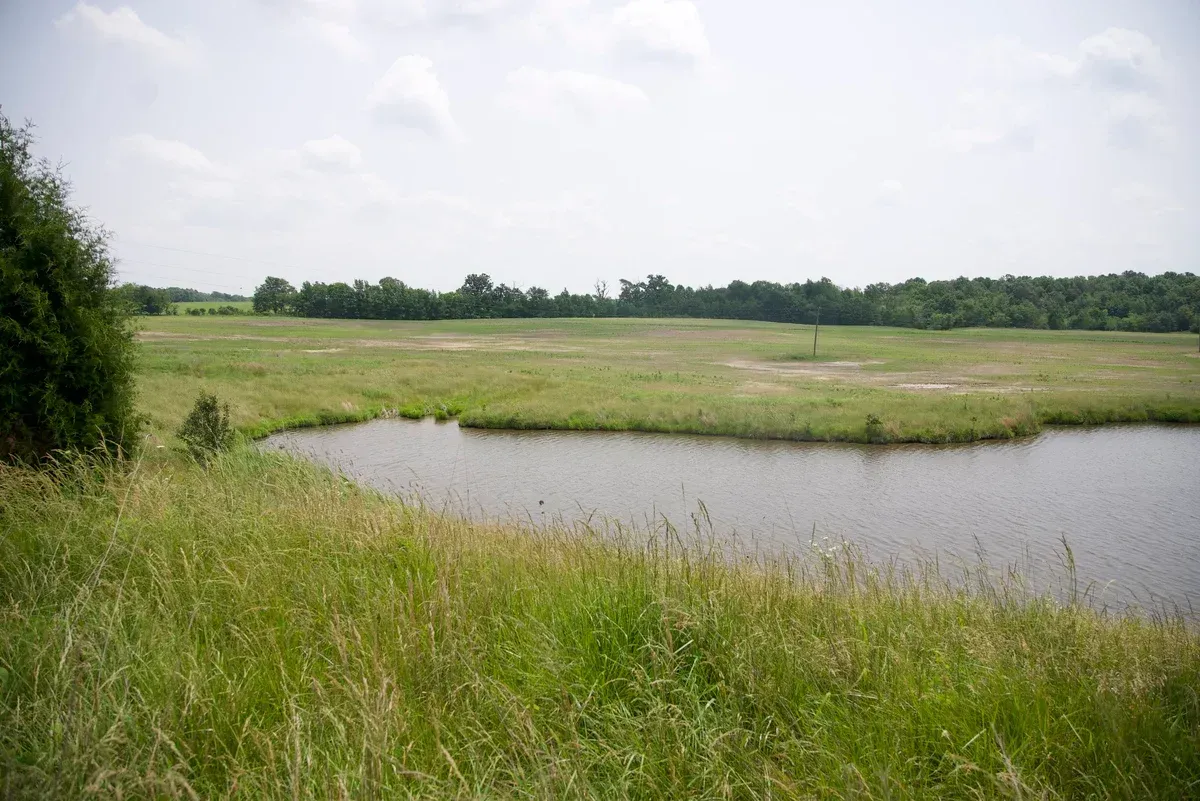 22-acre tract with pond Hopkins County Kentucky