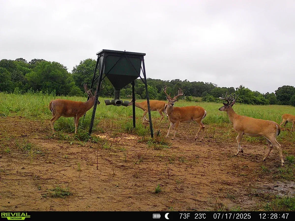 314-acre hunting paradise Elk County Kansas