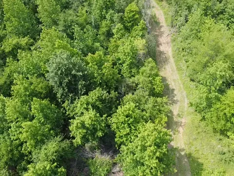 23-acre owner financed land Lyon County Kentucky