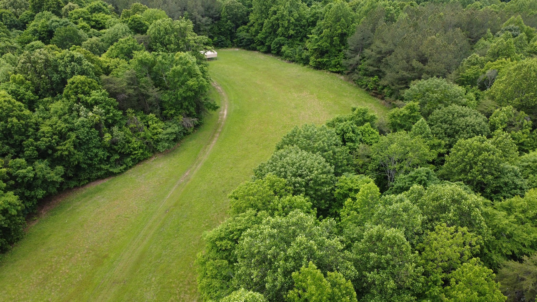 89-acre prime deer hunting land Carlisle County Kentucky