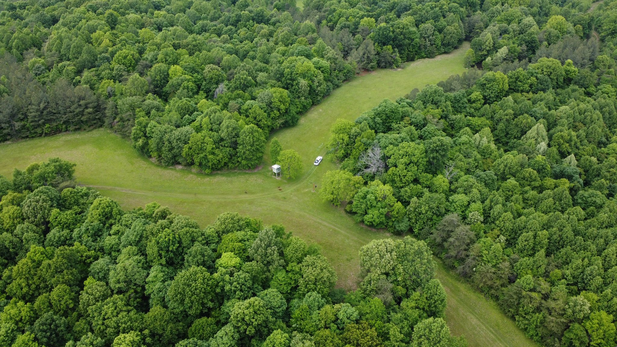 89-acre prime deer hunting land Carlisle County Kentucky