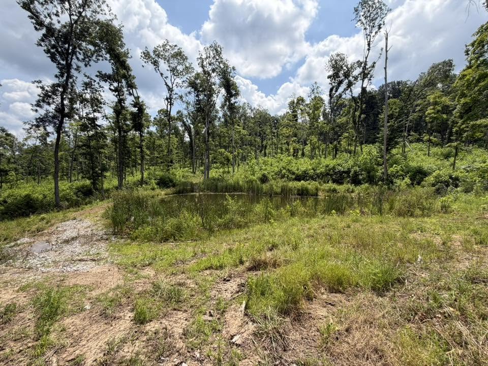 328-acre mature timber hunting land Ohio County Kentucky