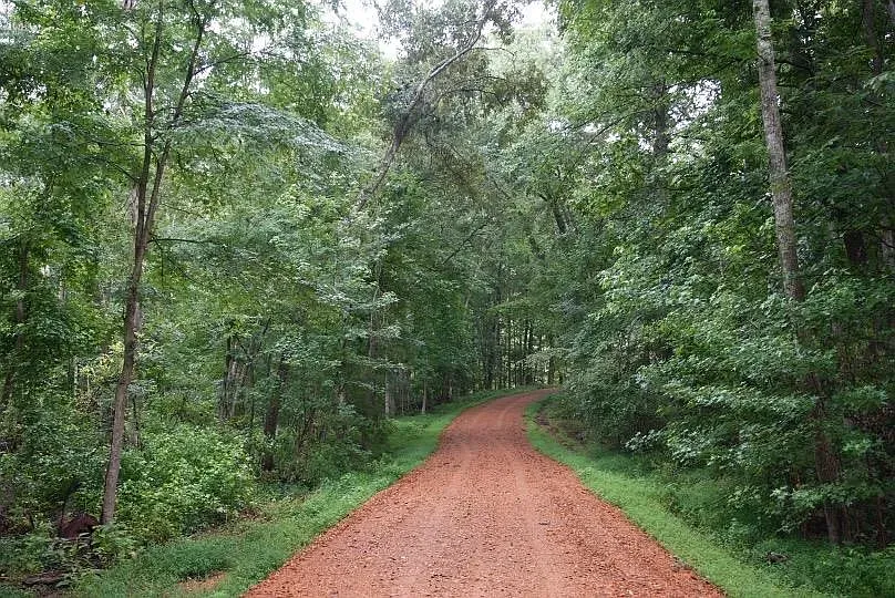 62-acre prime hunting and timber Hopkins County Kentucky