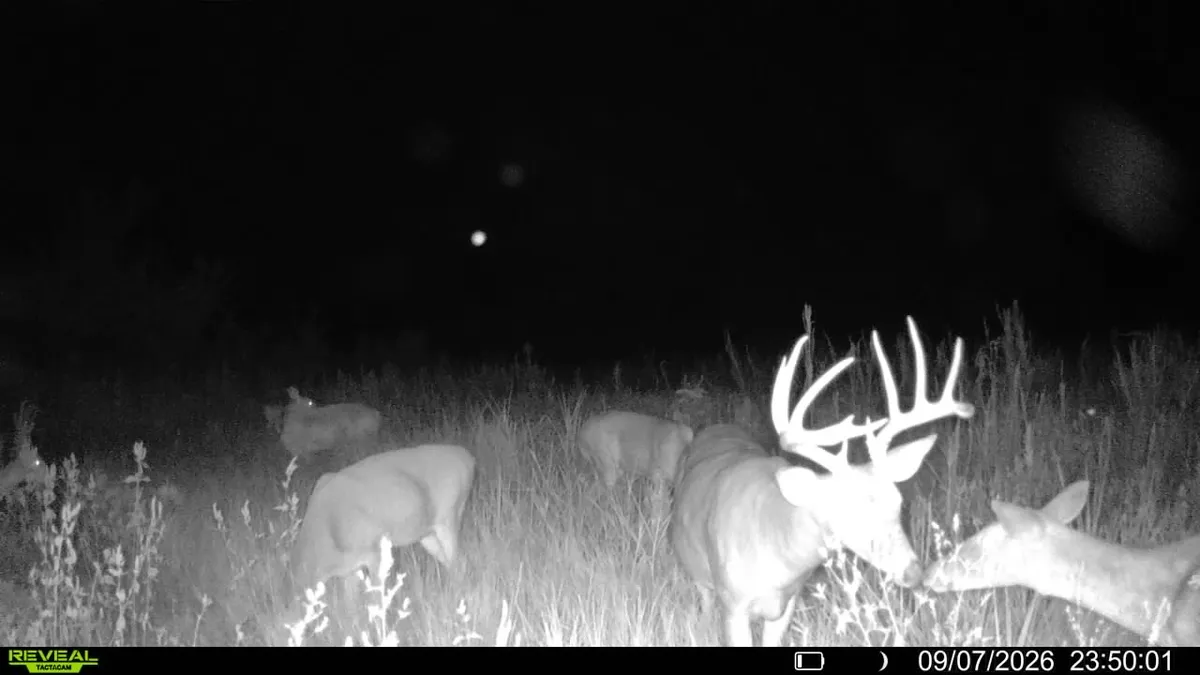 84-acre tract in Hopkins County Kentucky