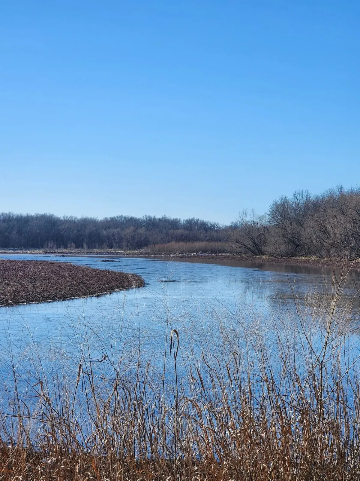 23-acre owner financed land Lyon County Kentucky