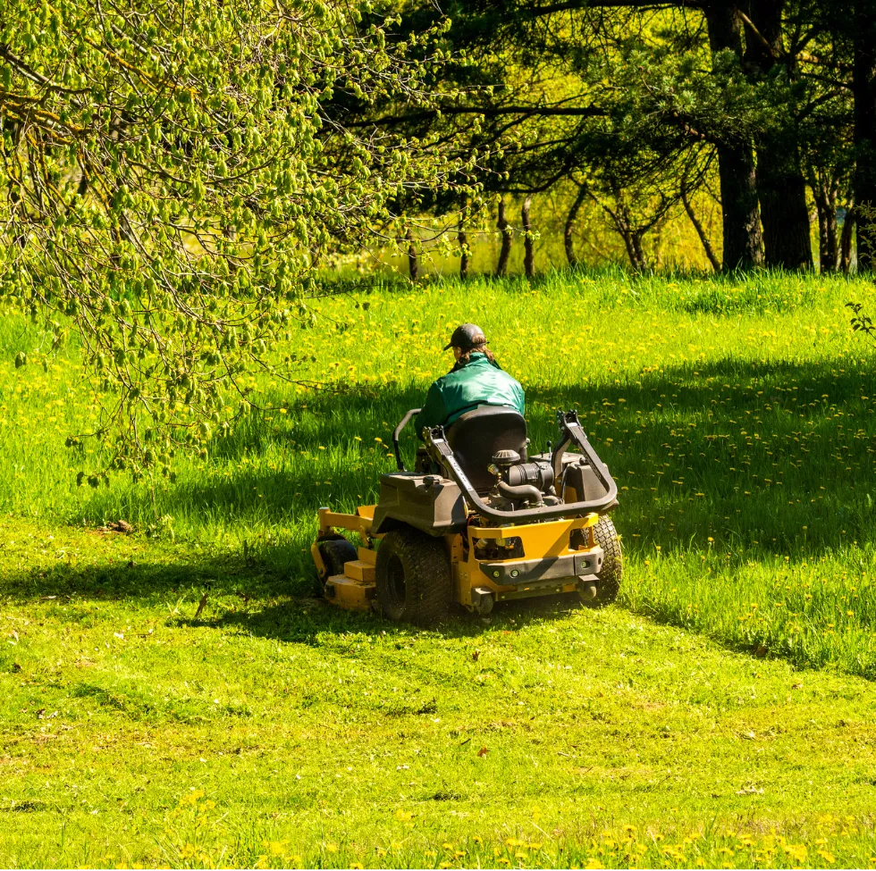 HOA Maintenance