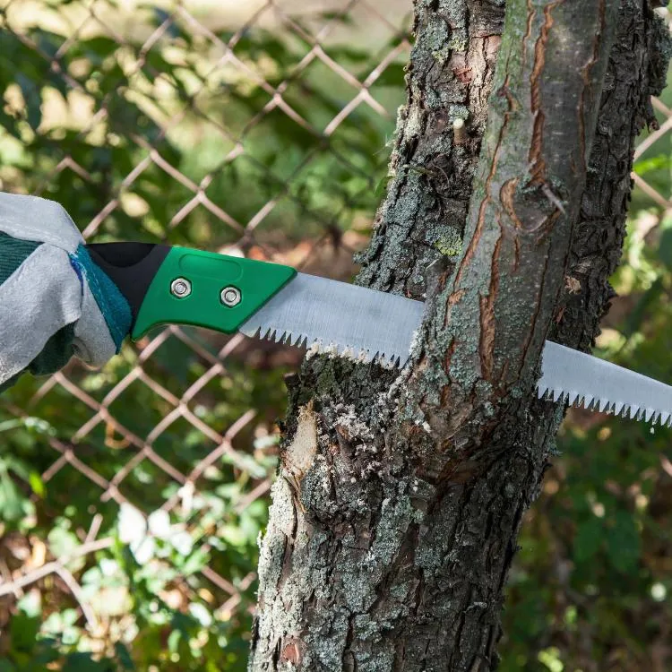 Tree limb being trimmed