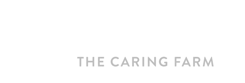 Animal Antiks Group