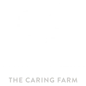 Animal Antiks