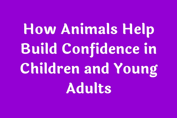 How Animals Help Build Confidence in Children and Young Adults
