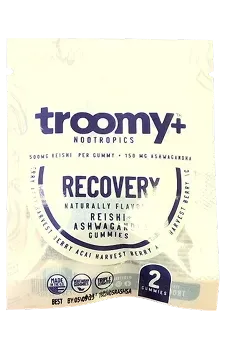 Troomy Mushroom | House of Pipes