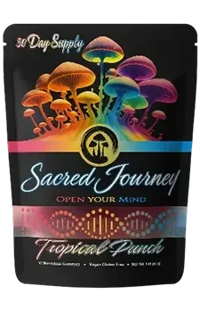 Sacred Journey Mushroom Gummies | House of Pipes