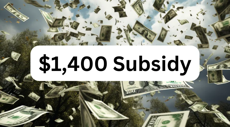 1,400 Subsidy! How To Claim (2024)
