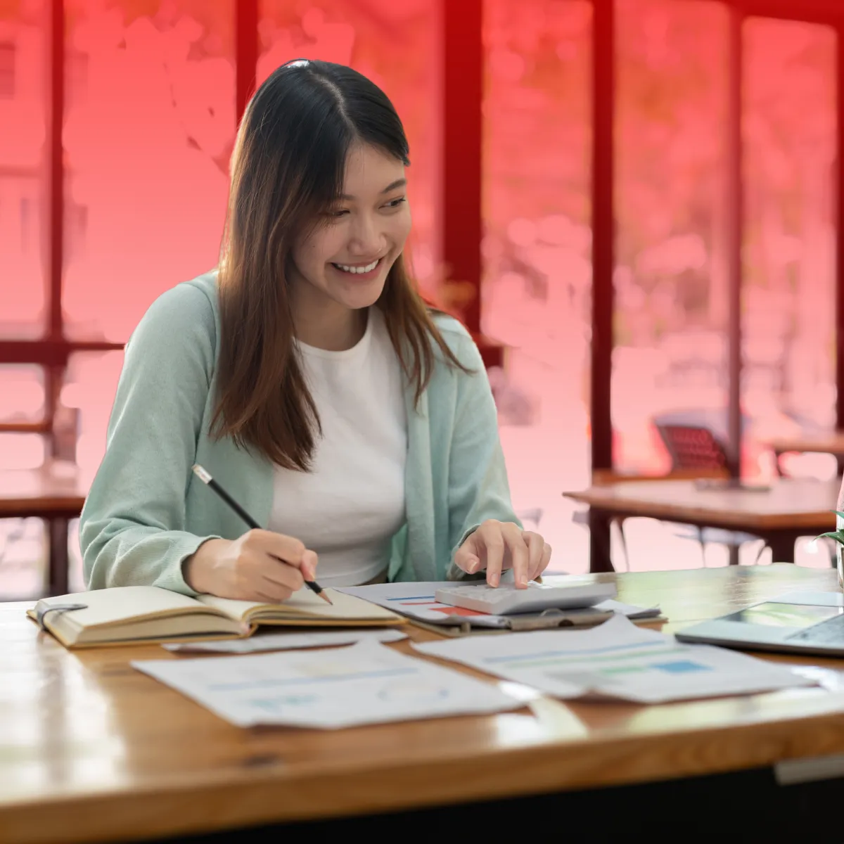 Affordable Professional Tax Preparation Software