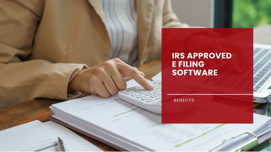 Tax Software Filing