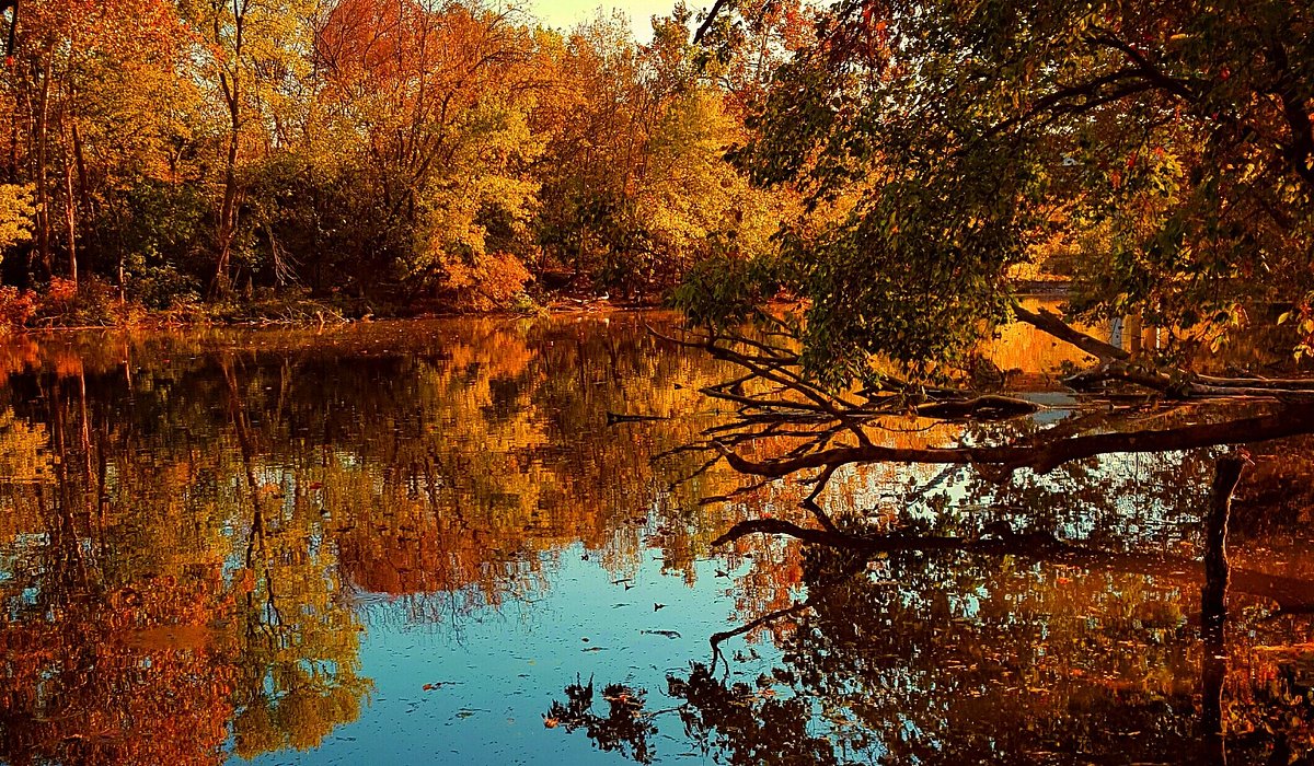 Murfreesboro, TN Travel Guide: Getting Around Without Relying on Rideshares | Rent & Roll, Murfreesboro, TN 🚗🎶