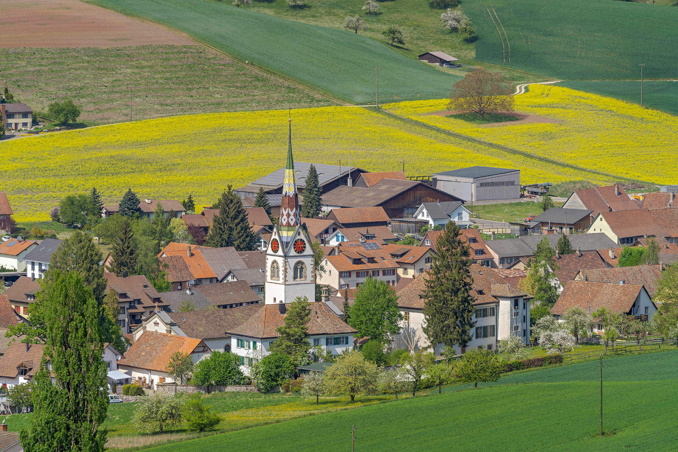 Ein quadratisches Bild eines alten Pergamentmanuskripts mit handgeschriebener deutscher Schrift, das auf einem Holztisch neben einer Feder und einem Tintenfass liegt. Sanftes natürliches Licht hebt die Textur des Papiers hervor und vermittelt ein Gefühl historischer Authentizität und Ehrfurcht vor dem Dokument.