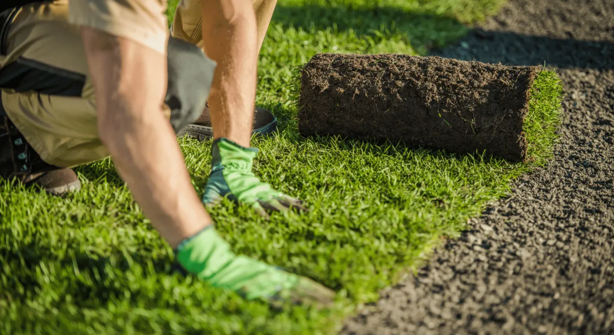 Pavers & Artificial Grass Installation in Oakland