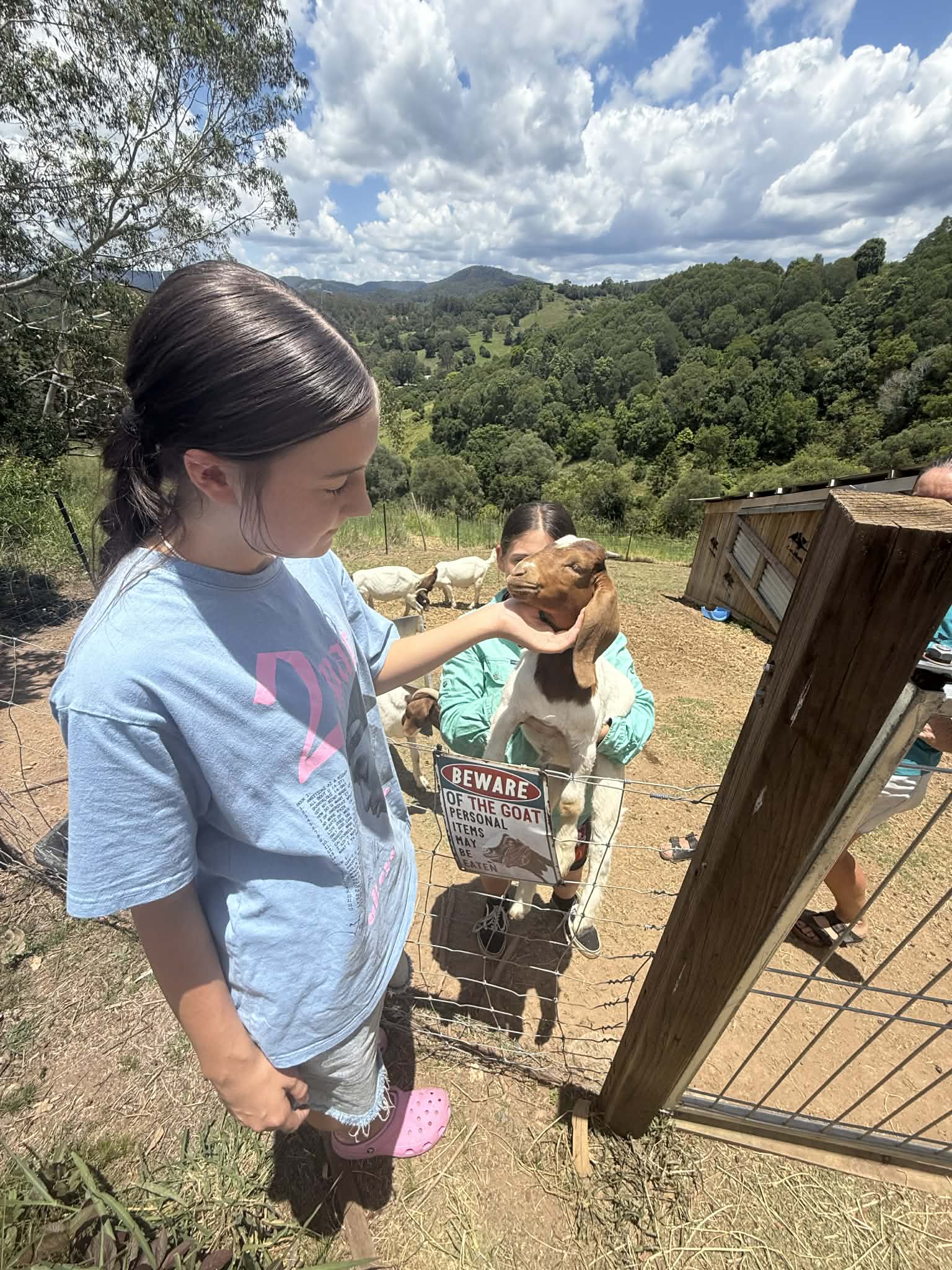 Illustration of a calm, organised NDIS team dashboard