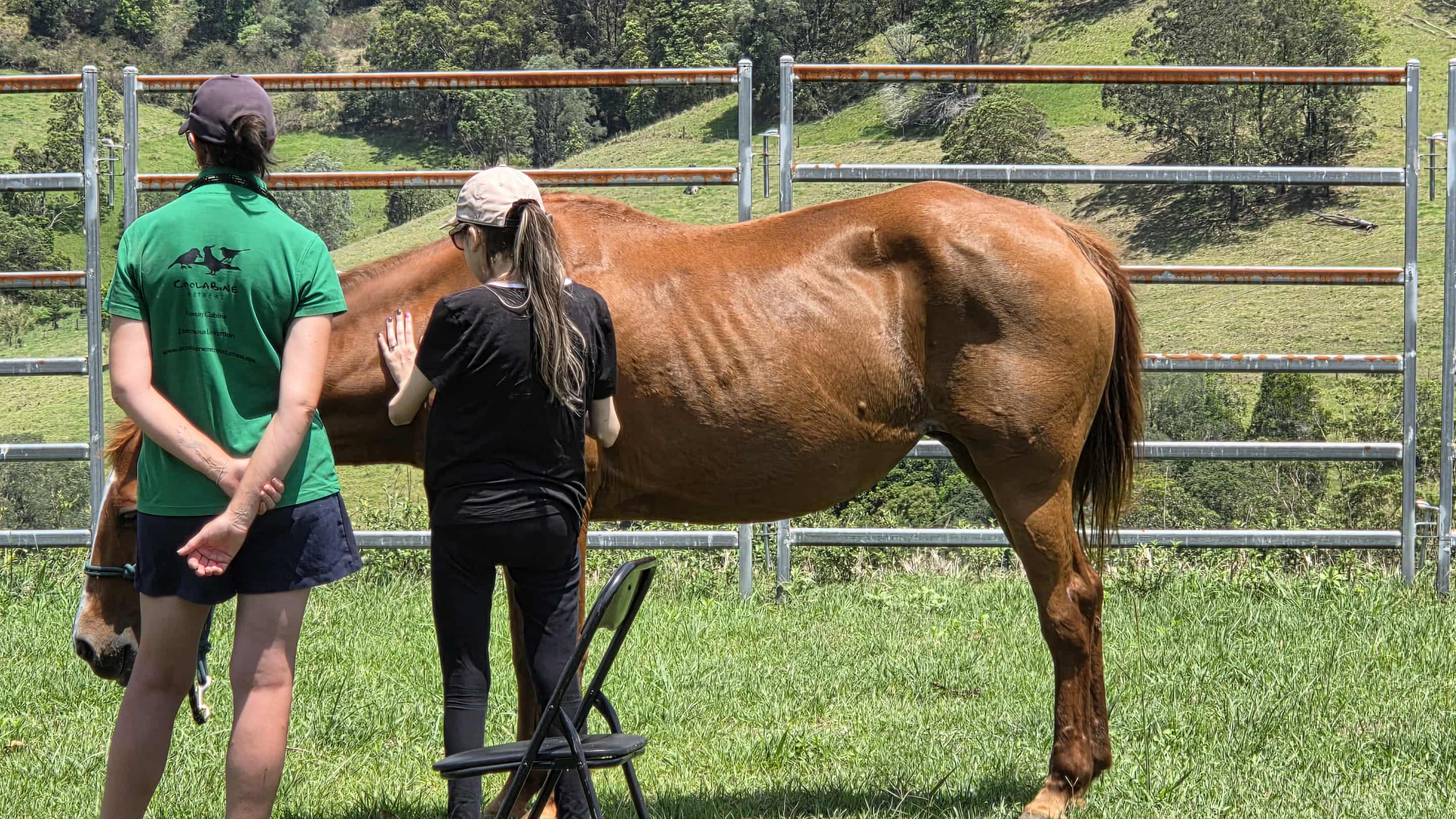 Clean, modern illustration of NDIS team collaboration