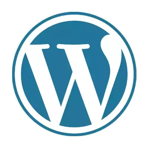 Wordpress Website Designer