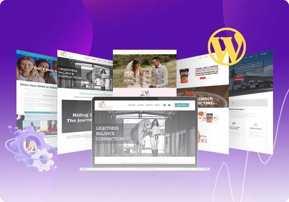 Website Design Service