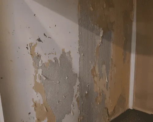 Wallpaper Removal in Philadelphia County, PA