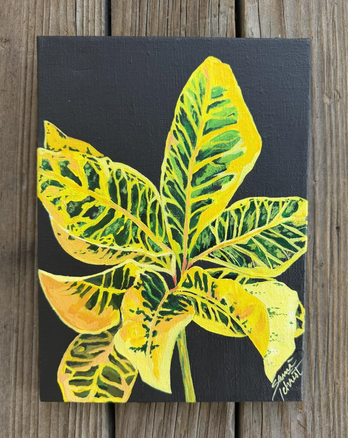 Terracotta Dreams canvas art