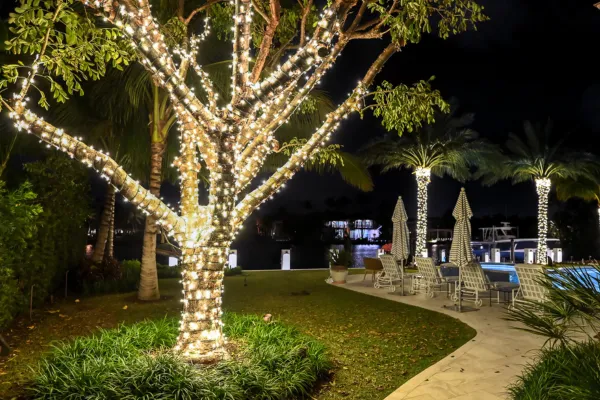 Palm tree wrapped with warm white Christmas lights in a Florida home landscape