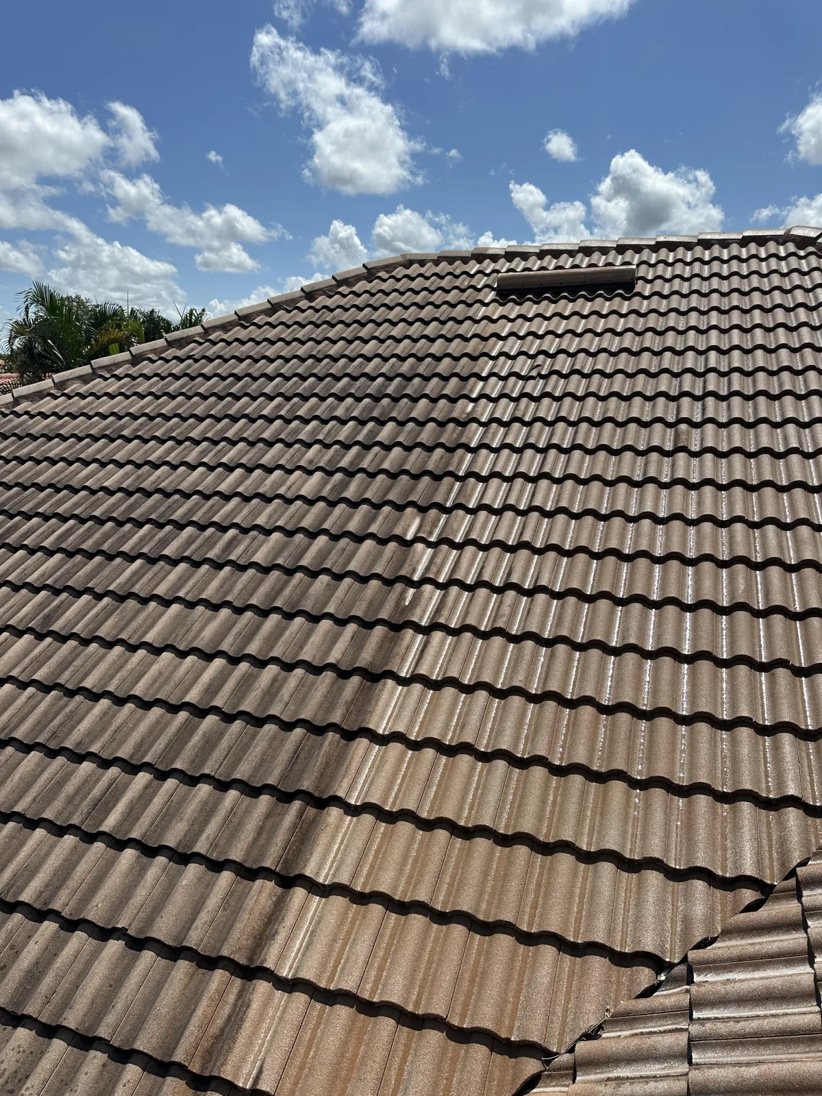 Before/after soft wash roof cleaning