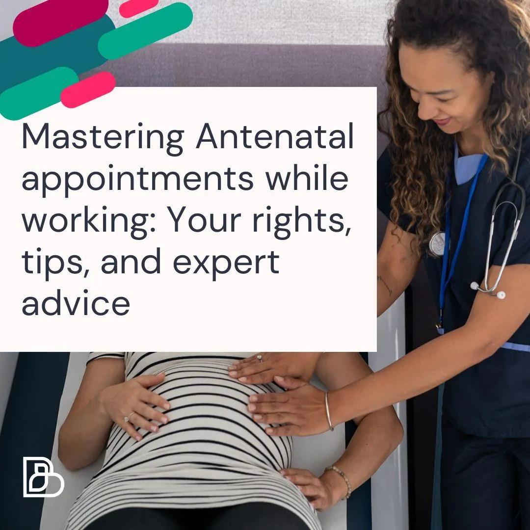The Birth and Baby Company blog post front cover. A midwife is smiling down at a pregnant person whilst palpating her abdomen to feel the position of baby, at a midwife appointment. A white box is over the top of image with text reading "Mastering Antenatal appointments while working: Your rights, tips, and expert advice"