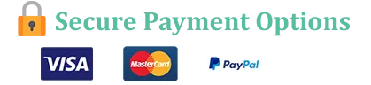 Secure online payment options including Visa, Mastercard, PayPal, and Apple Pay