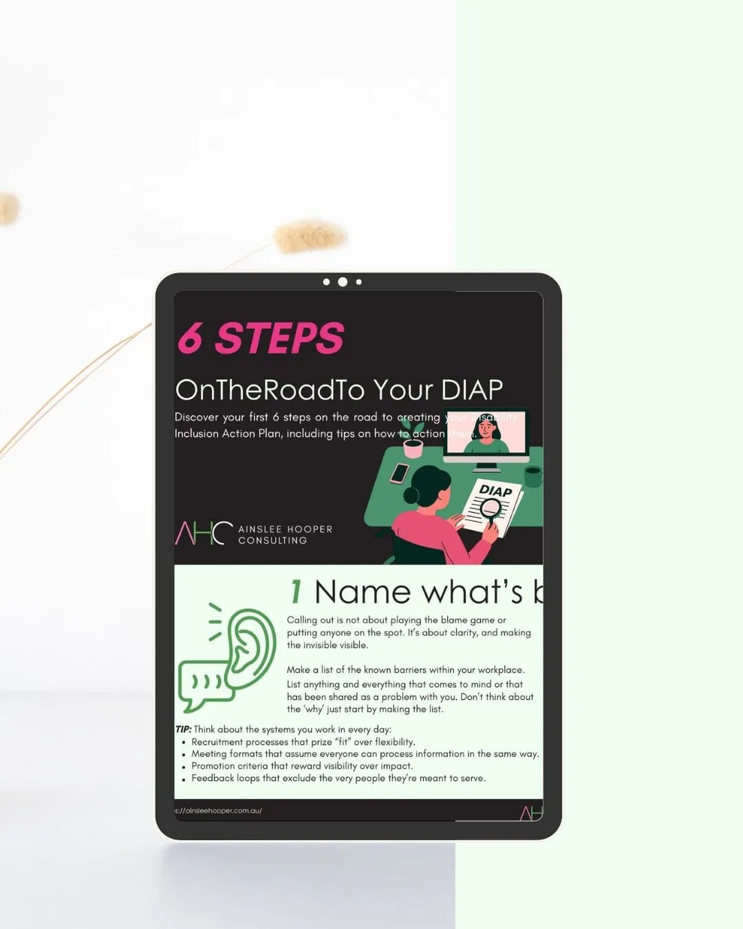 6 STEPS OnTheRoadTo Your DIAP Discover your first 6 steps on the road to creating your Disability Inclusion Action Plan, including tips on how to action them.