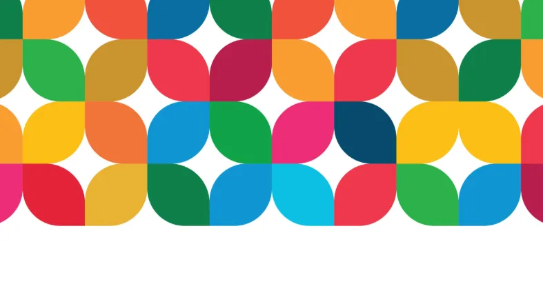 The Sustainable Development Goals: The North Star for Reducing the Risk of Ableism