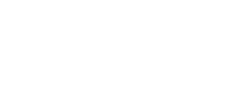 Team Armored Logo White Eagle