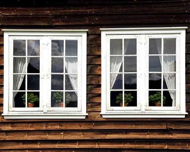 Single & Double Hung Windows