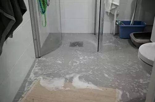 Why Is My Shower Draining Slow? Bakersfield Plumber Explains
