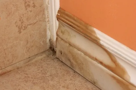 7 Signs You Have a Hidden Water Leak in Your Bakersfield Home