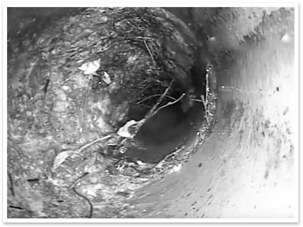 Why Does My Drain Keep Clogging? Bakersfield Plumber Explains